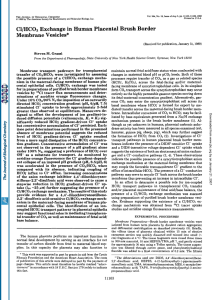 C1/HC03 Exchange in Human Placental  Brush  Border Membrane Vesicles*