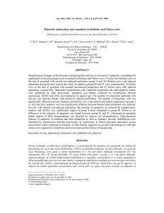 Placental maturation and expulsion in Holstein and Nelore cows Martins Marques Vasconcelos