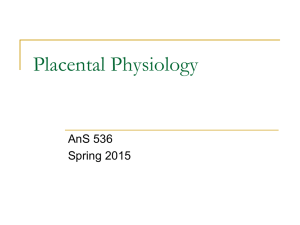 Placental Physiology AnS 536 Spring 2015