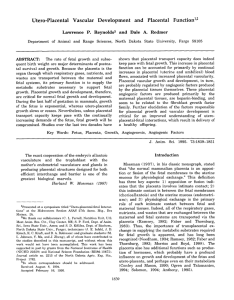 Utero-Placental  Vascular  Development  and Placental  Function1r2 Lawrence P.