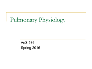 Pulmonary Physiology AnS 536 Spring 2016