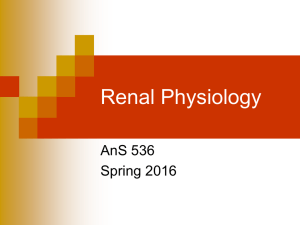 Renal Physiology AnS 536 Spring 2016