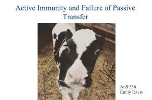 Active Immunity and Failure of Passive Transfer AnS 536 Emily Davis