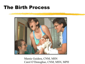 The Birth Process Mamie Guidera, CNM, MSN Carol O’Donoghue, CNM, MSN, MPH