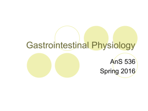 Gastrointestinal Physiology AnS 536 Spring 2016