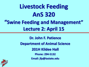 Livestock Feeding AnS 320 “ Swine Feeding and Management”