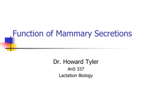 Function of Mammary Secretions Dr. Howard Tyler AnS 337 Lactation Biology