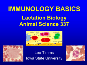 IMMUNOLOGY BASICS Lactation Biology Animal Science 337 Leo Timms