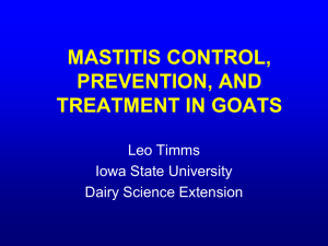 MASTITIS CONTROL, PREVENTION, AND TREATMENT IN GOATS Leo Timms