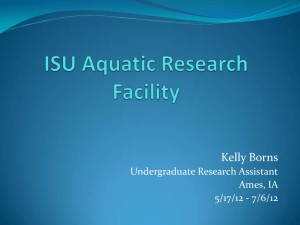 Kelly Borns Undergraduate Research Assistant Ames, IA 5/17/12 - 7/6/12