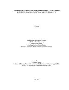 COMPARATIVE GROWTH AND PROPAGULE VIABILITY OF LOUISIANA- AVICENNIA GERMINANS A Thesis