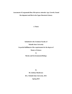 Micropterus salmoides Development and Diet in the Upper Barataria Estuary A Thesis