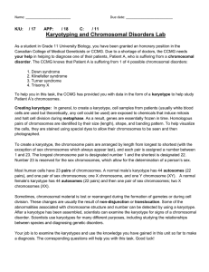 Karyotyping and Chromosomal Disorders Lab