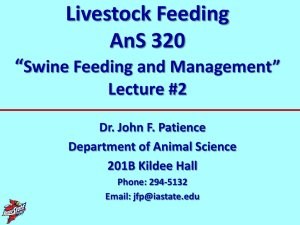Livestock Feeding AnS 320 “ Swine Feeding and Management”