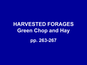 HARVESTED FORAGES Green Chop and Hay pp. 263-267