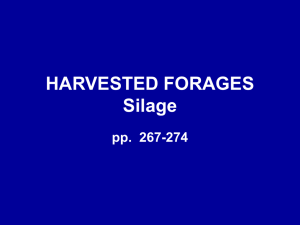 HARVESTED FORAGES Silage pp.  267-274