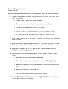 Energy and Energy Conservation Student Worksheet