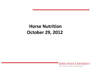 Horse Nutrition October 29, 2012 M.E. Persia Iowa State University