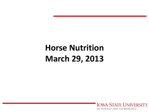 Horse Nutrition March 29, 2013 M.E. Persia Iowa State University