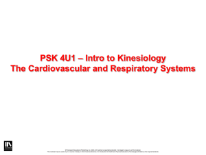 – Intro to Kinesiology PSK 4U1 The Cardiovascular and Respiratory Systems