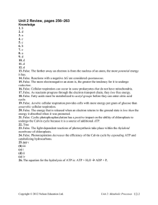 Unit 2 Review, pages 256–263