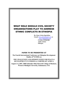 WHAT ROLE SHOULD CIVIL SOCIETY ORGANISATIONS PLAY TO ADDRESS