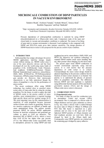 MICROSCALE COMBUSTION OF DDNP PARTICLES IN VACUUM ENVIRONMENT