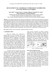 DEVELOPMENT OF A HYDROGEN COMBUSTION CHAMBER FOR