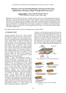 Miniature Fuel Cell with Monolithically Fabricated Si Electrodes