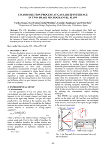 CO DISSOLUTION PROCESS AT GAS-LIQUID INTERFACE IN TWO-PHASE MICROCHANNEL FLOW