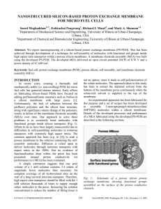 NANOSTRUCURED SILICON-BASED PROTON EXCHANGE MEMBRANE FOR MICRO FUEL CELLS