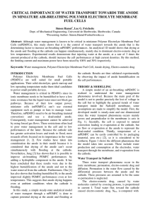 CRITICAL IMPORTANCE OF WATER TRANSPORT TOWARDS THE ANODE