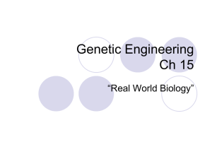 Genetic Engineering Ch 15 “Real World Biology”