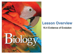 Lesson Overview Evidence of Evolution 16.4 Evidence of Evolution