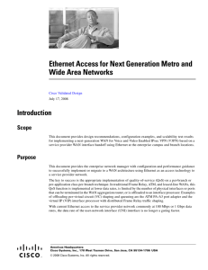 Ethernet Access for Next Generation Metro and Wide Area Networks Introduction Scope