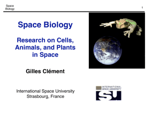 Space Biology Research on Cells, Animals, and Plants in Space