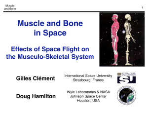 Muscle and Bone in Space Effects of Space Flight on the Musculo-Skeletal System