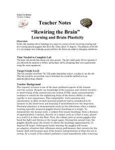 Teacher Notes “Rewiring the Brain” Learning and Brain Plasticity Overview