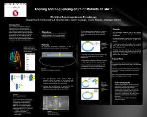 Cloning and Sequencing of Point Mutants of GluT1 Introduction