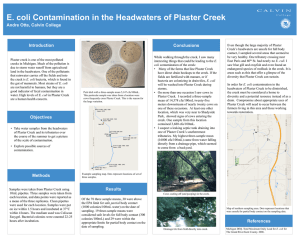 E. coli Contamination in the Headwaters of Plaster Creek Introduction Conclusions