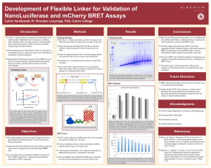 Development of Flexible Linker for Validation of Introduction