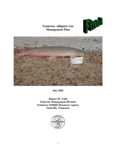 Tennessee Alligator Gar Management Plan