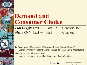Demand and Consumer Choice Full Length Micro Only