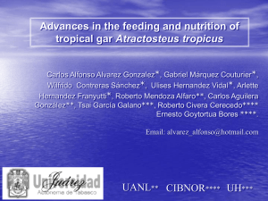 Advances in the feeding and nutrition of Atractosteus tropicus *