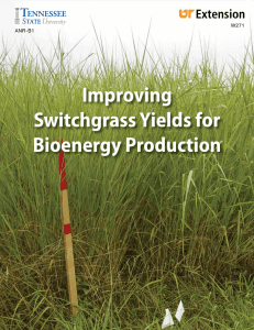 Improving Switchgrass Yields for Bioenergy Production W271