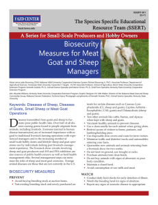 Biosecurity Measures for Meat Goat and Sheep Managers