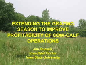 EXTENDING THE GRAZING SEASON TO IMPROVE PROFITABILITY OF COW-CALF OPERATIONS