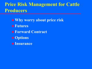 Price Risk Management for Cattle Producers Why worry about price risk Futures