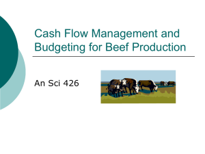 Cash Flow Management and Budgeting for Beef Production An Sci 426