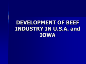DEVELOPMENT OF BEEF INDUSTRY IN U.S.A. and IOWA